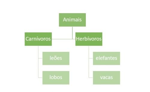 Mapa conceitual - hierarquia