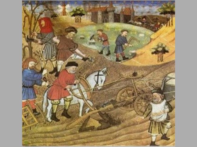 agricultura feudal