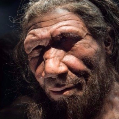 homem neandertal