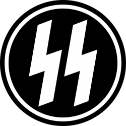 Significado da SS (Schutzstaffel) (O que é, Conceito e Definição