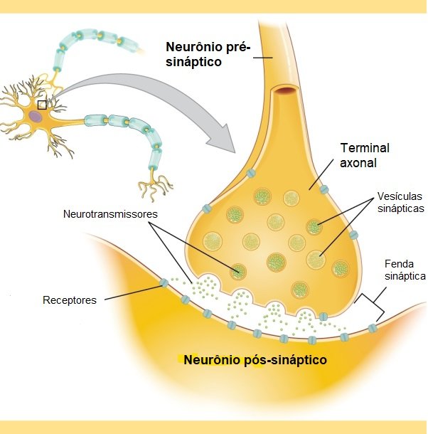 sinapse quimica