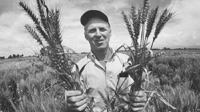 Norman Bourlaug